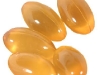 SINOSCIZK 01 Ganoderma Triterpene Extracts Oil Gel SINOSCIZK 01 Ganoderma Triterpene Extracts Oil Gel